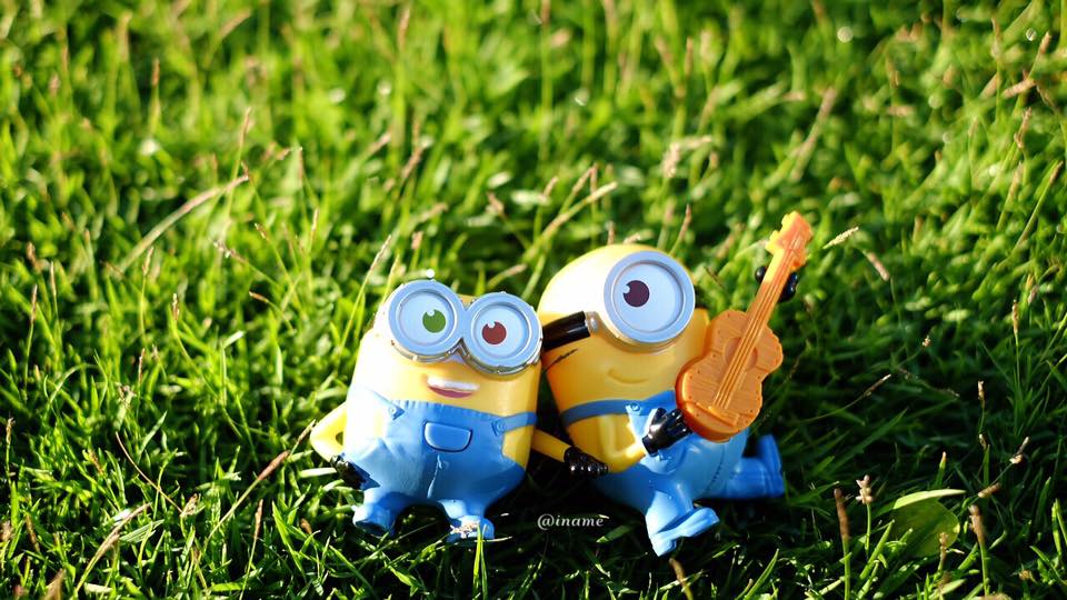 minion fever ^^