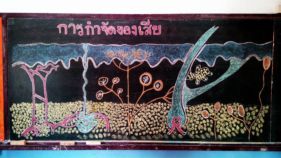 กระดานดำ ที่ครูเคยใช้สอนเรามา