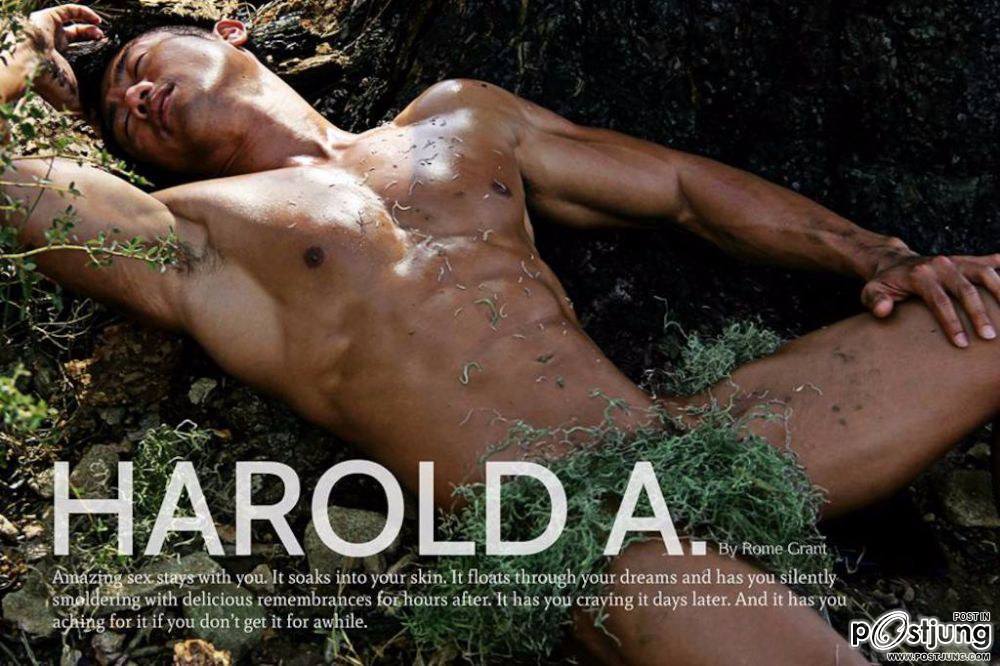 อายุ 37 ใหญ่ยาวขาวดีตุงมากก Harold A.