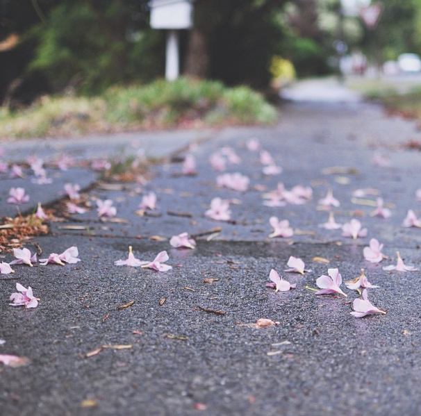 ภาพถ่าย By Mr.fotograt