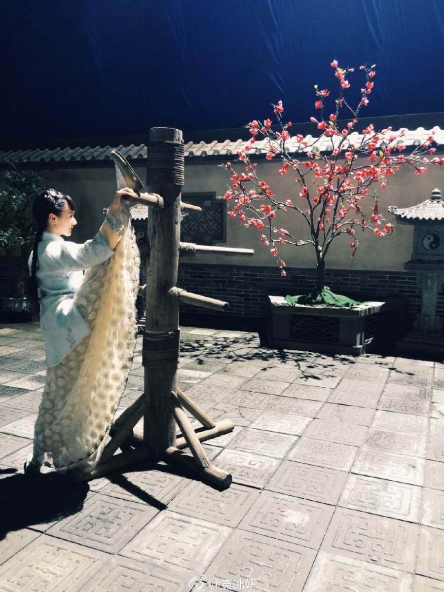 Tai Ji Men 《太极宗师之太极门》2015 past3