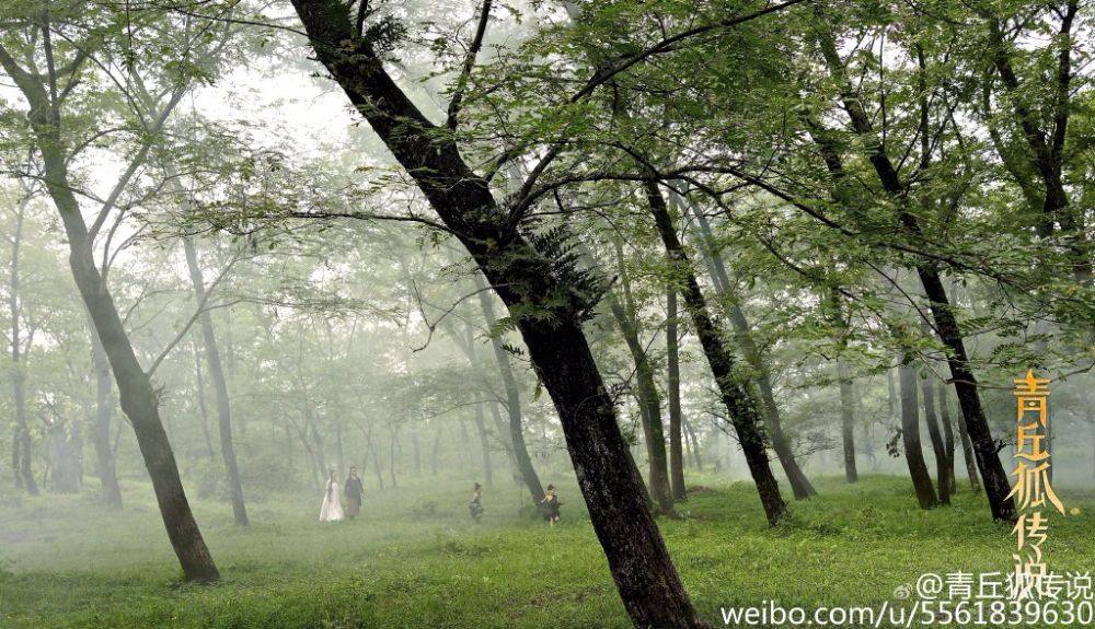 Green hill Fox Legend 《青丘狐传说》 2015 part5