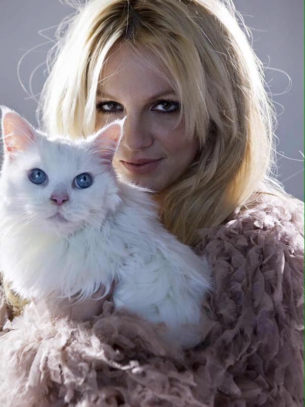 รวมภาพสวยๆ Britney Spears ครับ