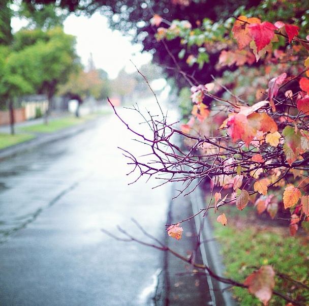 ออสเตรเลีย By Kira-j