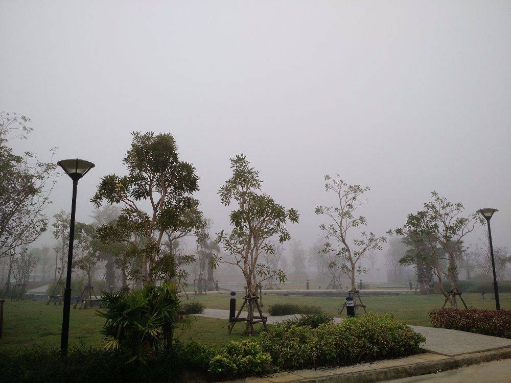 รูปถ่ายของผมเองครับ