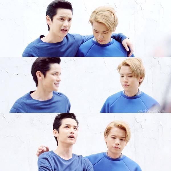 เต๋าคชา forever