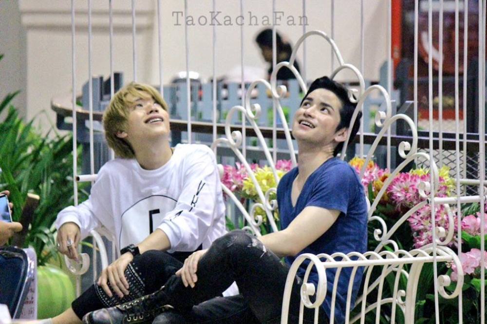 เต๋าคชา forever