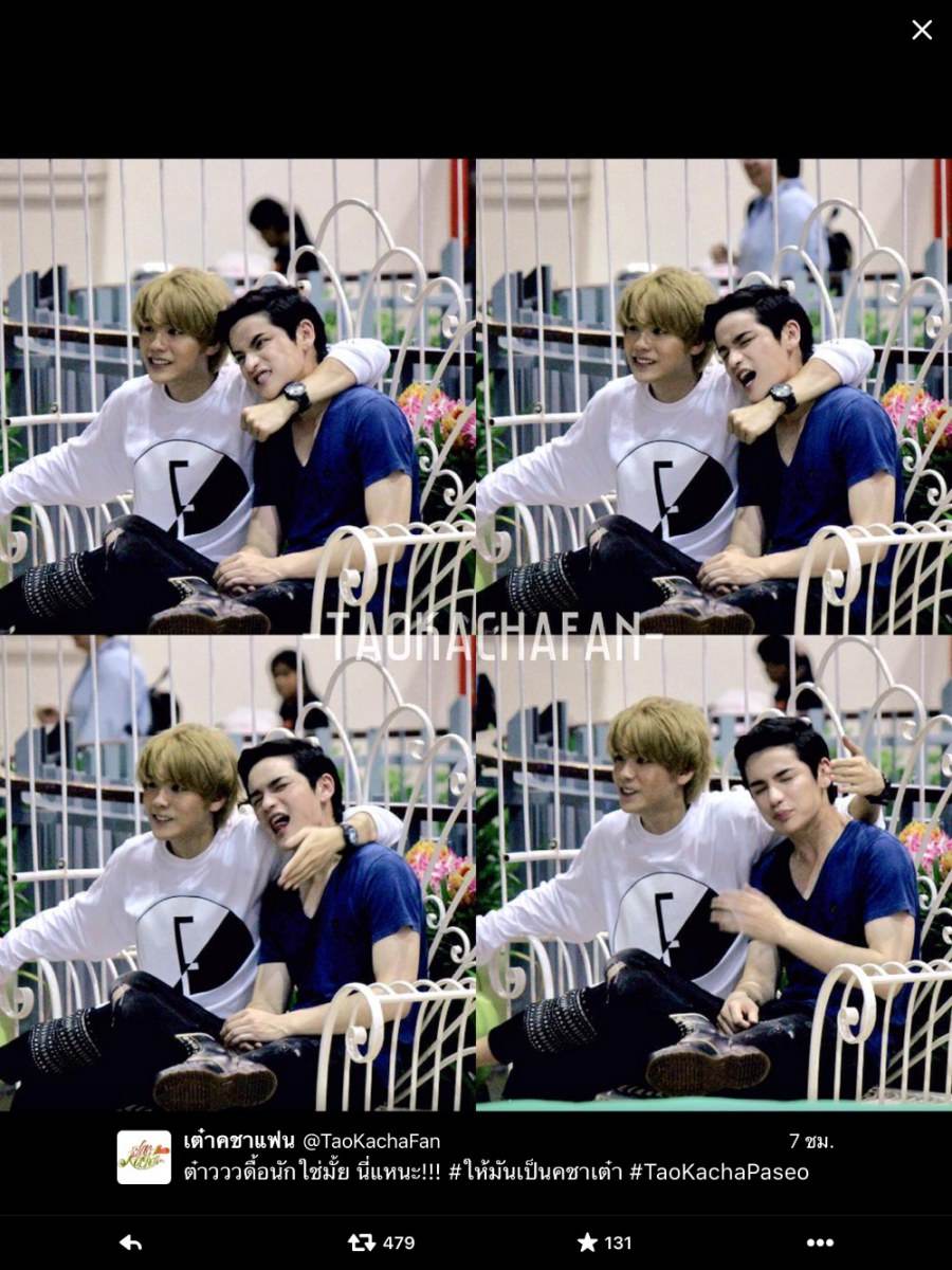 เต๋าคชา forever