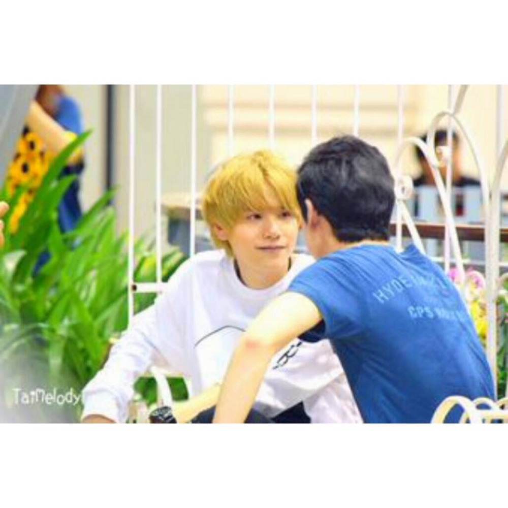 เต๋าคชา forever
