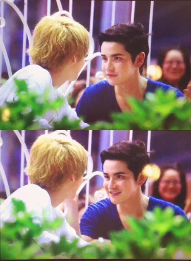 เต๋าคชา forever