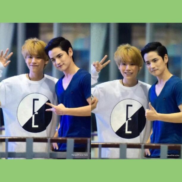 เต๋าคชา forever
