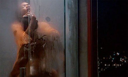 10. How Stella Got Her Groove Back (ออกฉายในปี 1998)