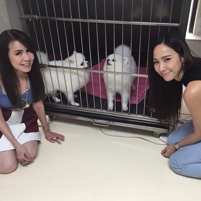 ได้เวลาซุปตาร์ "อั้ม พัชราภา" โชว์เปิดตัวลูกๆ สุดที่รัก!!