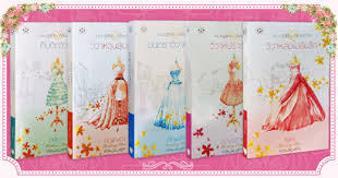 นิยายชุด Wedding Plan