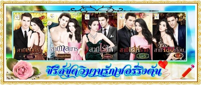 นิยายชุด