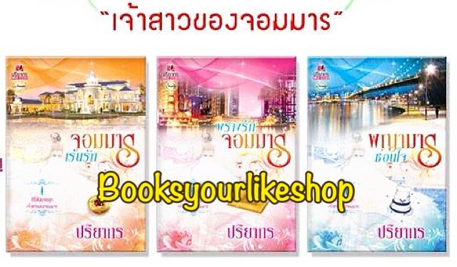 นิยายชุด