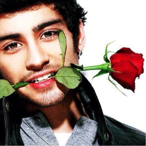 Zayn Malik one direction