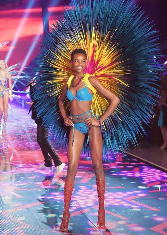 Victoria's Secret  2015
