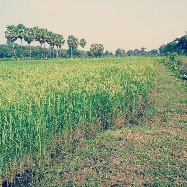 หลากเรื่องราวที่จะทำให้คุณรู้ว่า ทำไมใคร ๆ ก็รักผู้ชายชื่อ "ปอ ทฤษฎี"