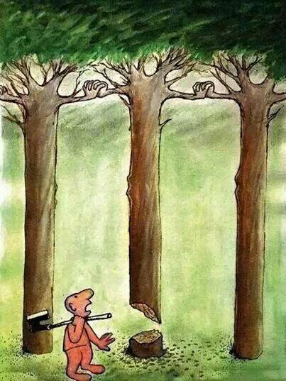 This picture worth a thousand words....(1/2)