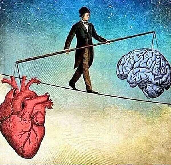 This picture worth a thousand words....(1/2)
