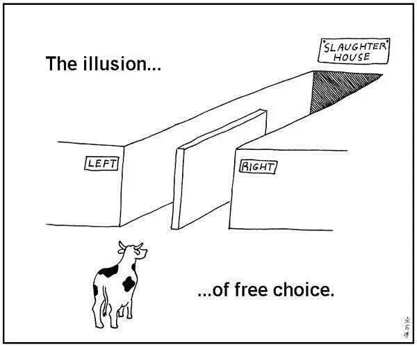 This picture worth a thousand words....(1/2)