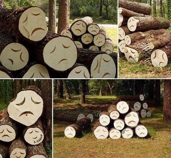 This picture worth a thousand words....(1/2)