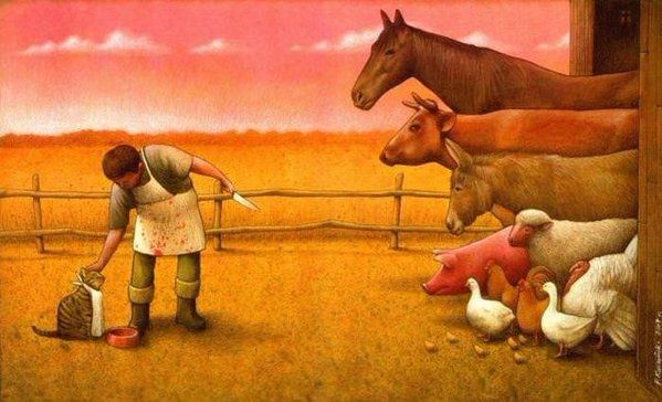 This picture worth a thousand words....(1/2)
