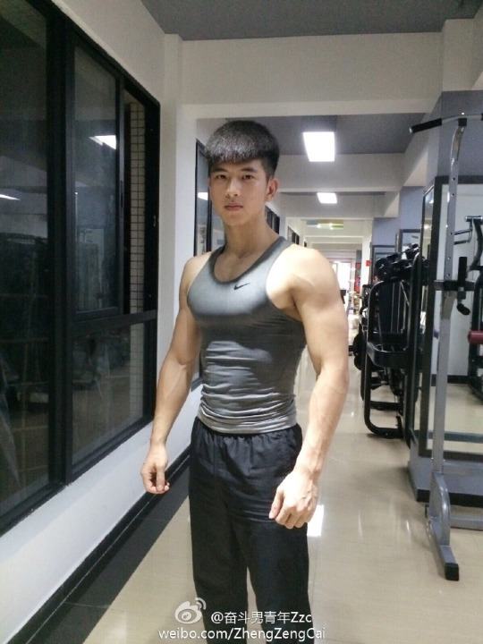 ตี๋หล่อกล้ามแน่น