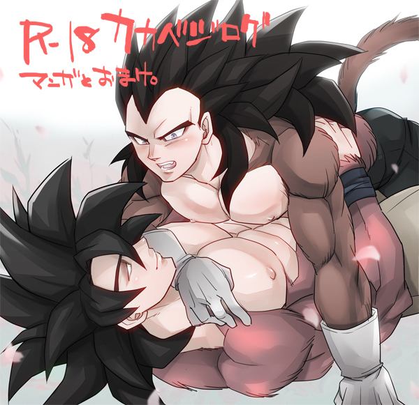 YAOI 329 - Dragon Ball