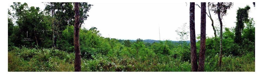 &infin;หลิว @ น้ำหนาว&infin;【จ｡เพชรบูรณ์】