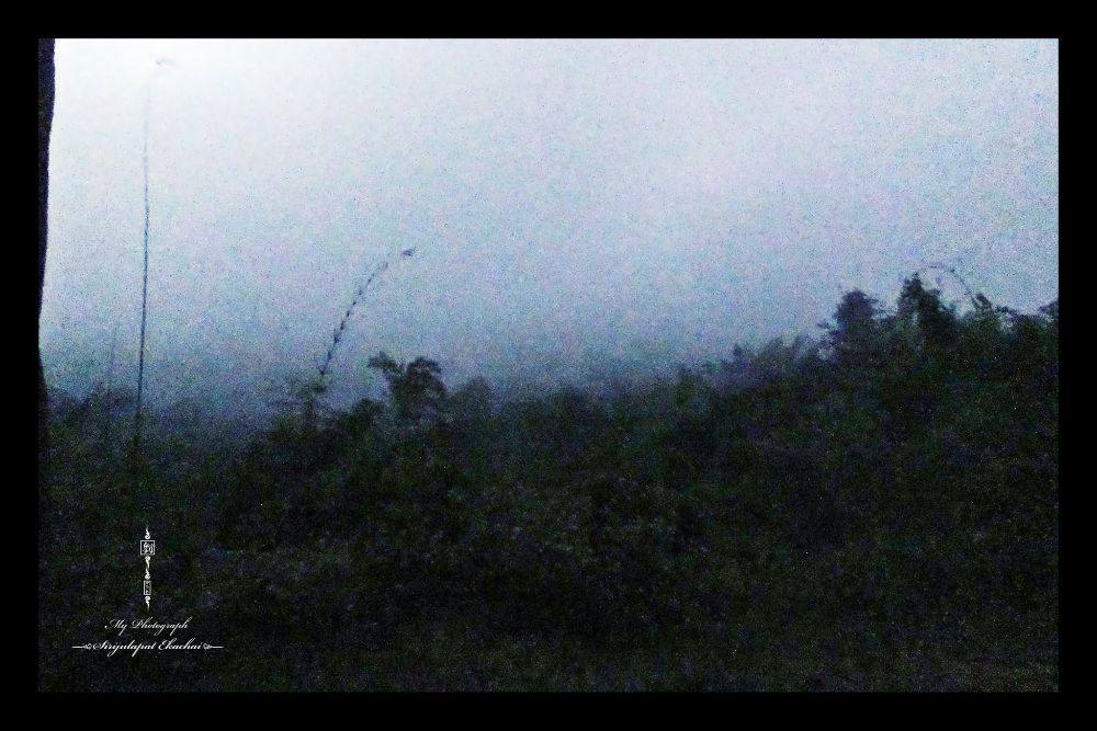 &infin;หลิว @ น้ำหนาว&infin;【จ｡เพชรบูรณ์】