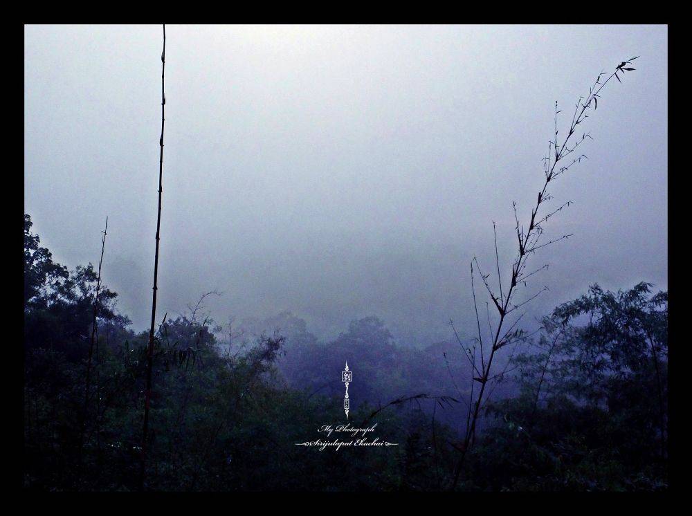 &infin;หลิว @ น้ำหนาว&infin;【จ｡เพชรบูรณ์】