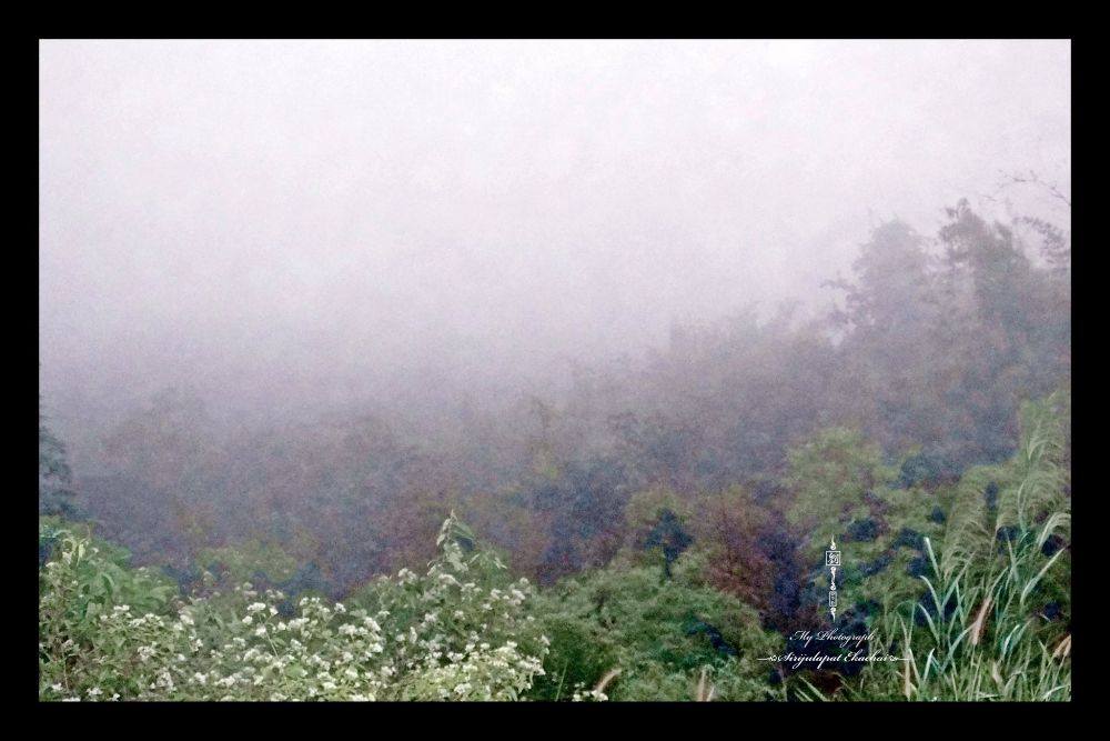 &infin;หลิว @ น้ำหนาว&infin;【จ｡เพชรบูรณ์】