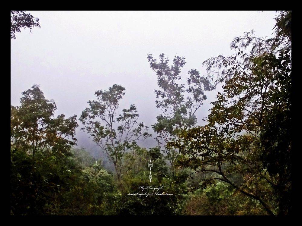 &infin;หลิว @ น้ำหนาว&infin;【จ｡เพชรบูรณ์】