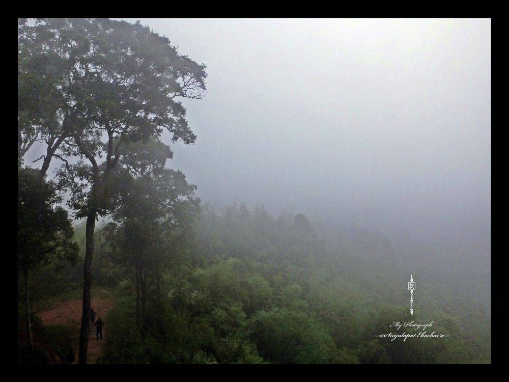 &infin;หลิว @ น้ำหนาว&infin;【จ｡เพชรบูรณ์】