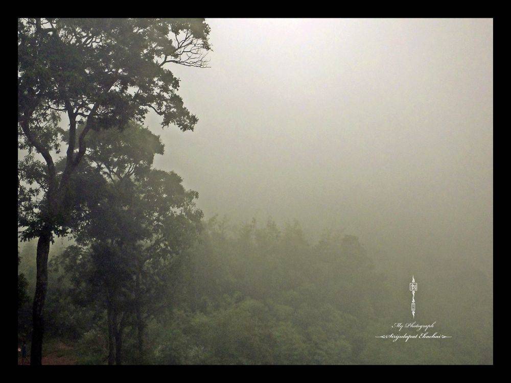 &infin;หลิว @ น้ำหนาว&infin;【จ｡เพชรบูรณ์】