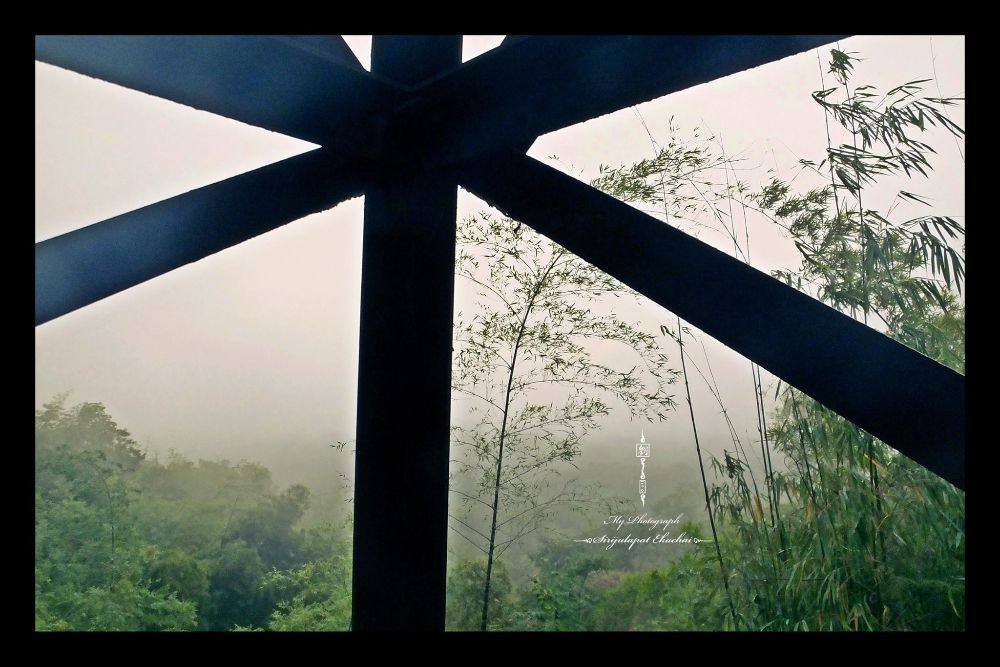 &infin;หลิว @ น้ำหนาว&infin;【จ｡เพชรบูรณ์】