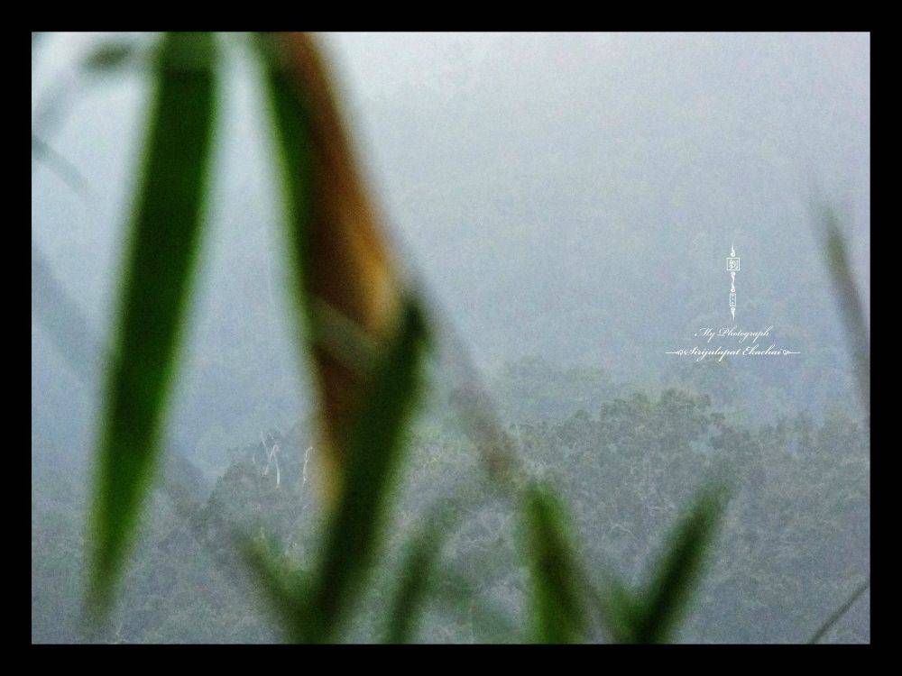 &infin;หลิว @ น้ำหนาว&infin;【จ｡เพชรบูรณ์】