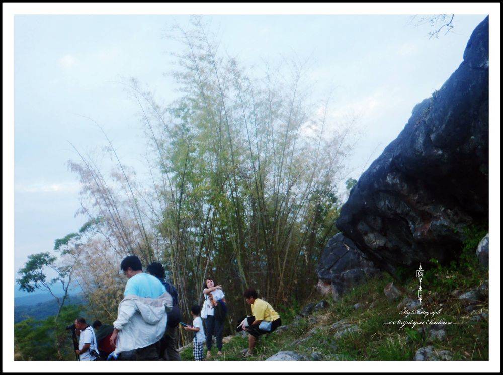 &infin;หลิว @ น้ำหนาว&infin;【จ｡เพชรบูรณ์】