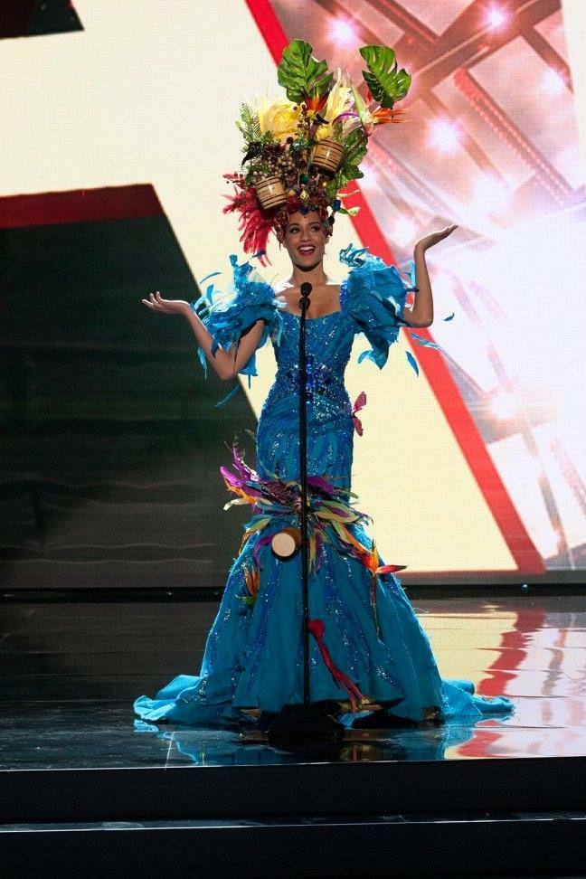 ชุดประจำชาติ "Miss Universe 2015 " (ทุกประเทศ)