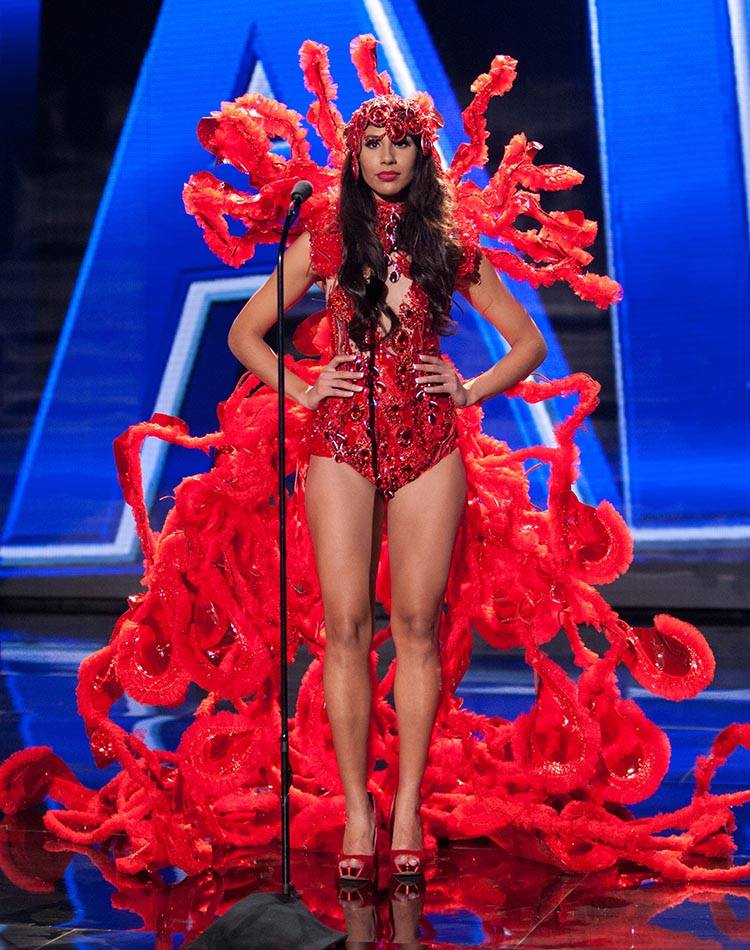 ชุดประจำชาติ "Miss Universe 2015 " (ทุกประเทศ)