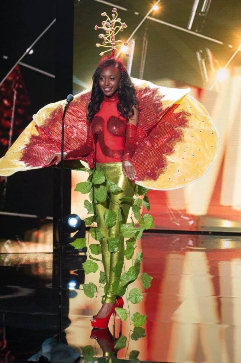 ชุดประจำชาติ "Miss Universe 2015 " (ทุกประเทศ)