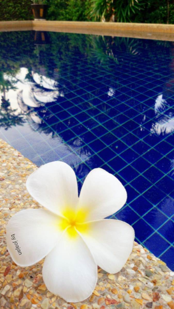 @Hua-Hin...ทริปกินชัดๆ