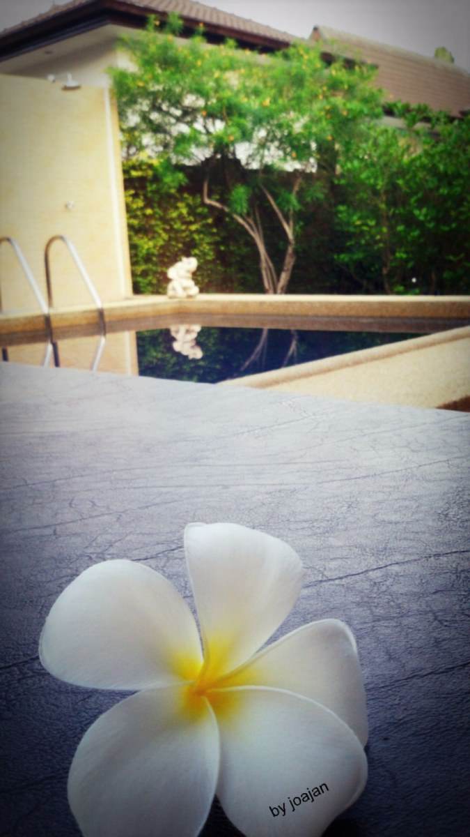 @Hua-Hin...ทริปกินชัดๆ