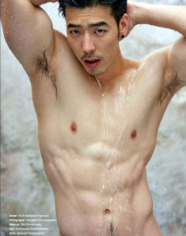 วุฒิ