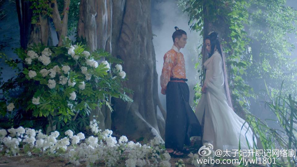 Go Princess Go《太子妃升职记》2015 part1