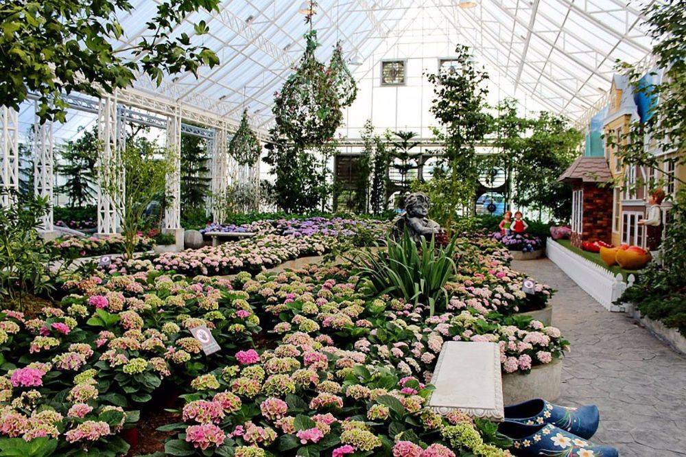 อลังการส่งท้ายปี เพลาเพลินจัดใหญ่พาเหรดดอกไม้