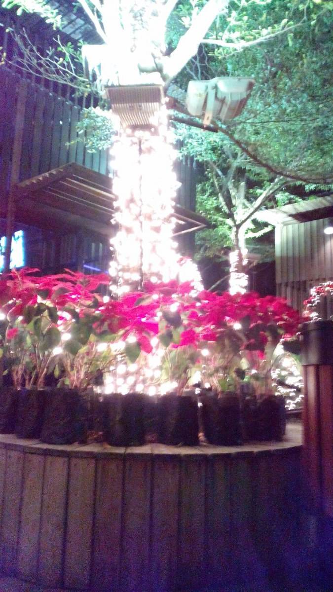 watersite special night