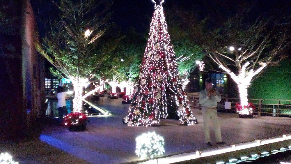 watersite special night